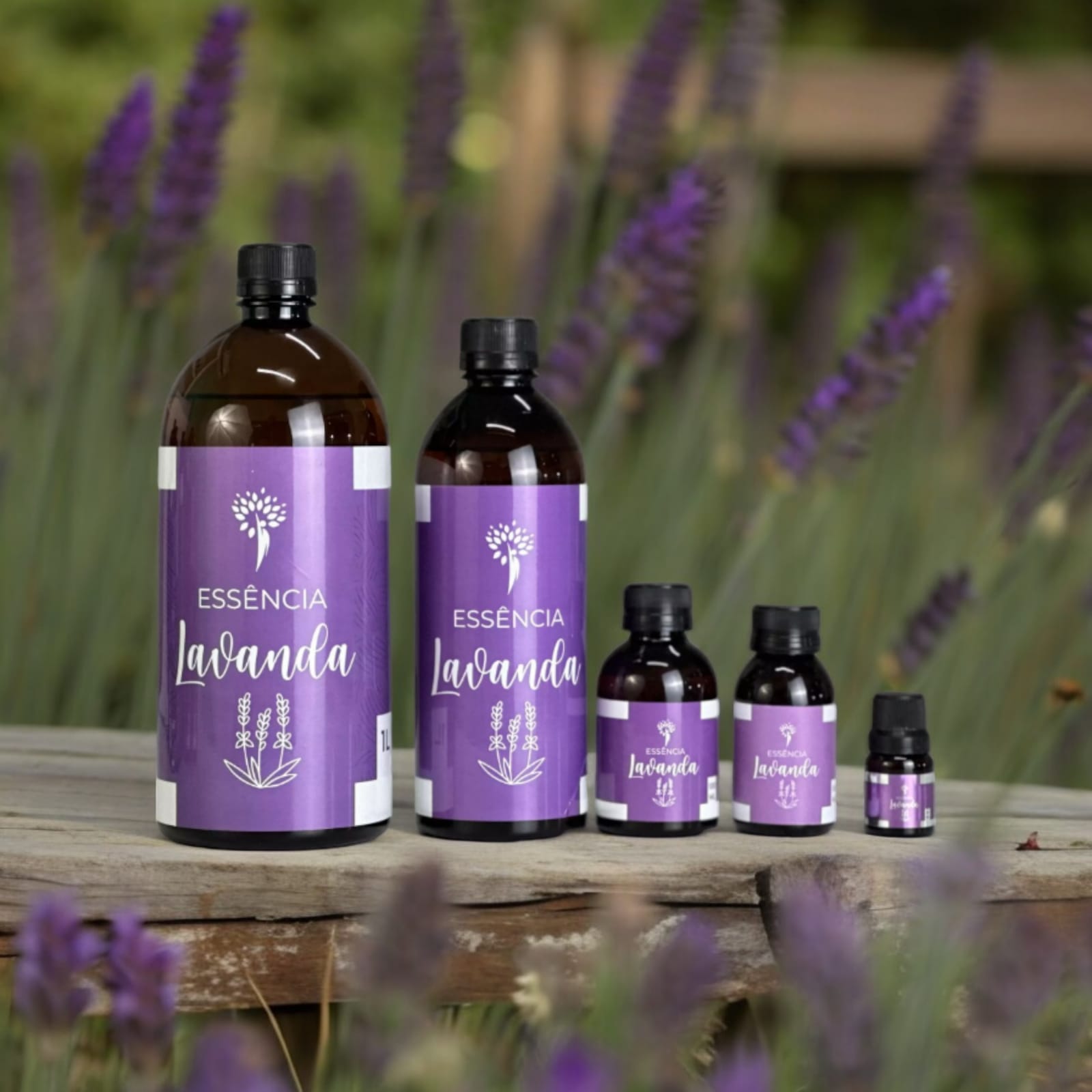 Fragrâncias de Lavanda Nobbli Essências