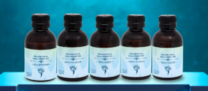 Perfumes de Contratipo Masculino Nobbli